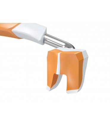 Anillo largo naranja 2 ud./paquete